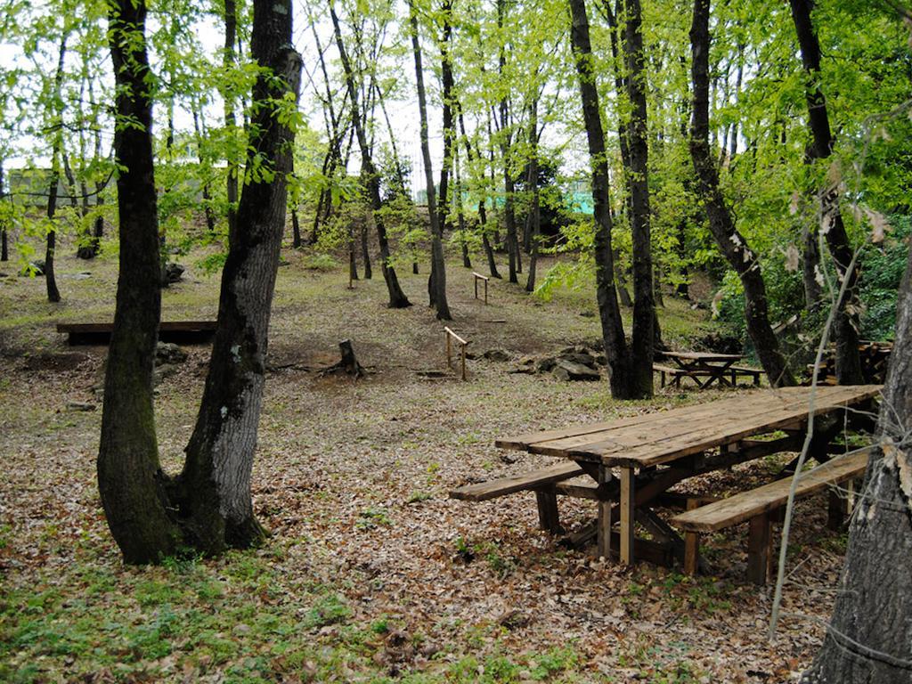 Village Sport Holidays Cerveteri Oda fotoğraf